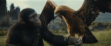 Kingdom of the Planet of the Apes - Photo Gallery