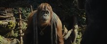 Kingdom of the Planet of the Apes - Photo Gallery