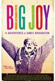 Big Joy: The Adventures of James Broughton Movie Poster