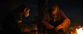 KINGDOM OF THE PLANET OF THE APES Clip - "Campfire"